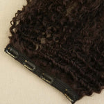 Single Piece 4 Clip Volumizer (Curly)