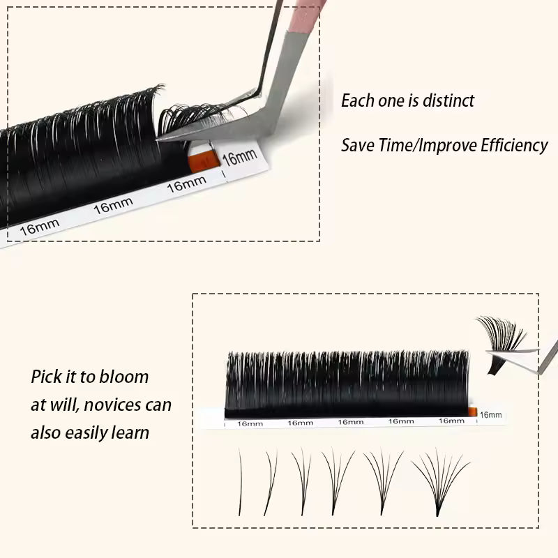 Eyelash Extension